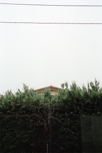 http://www.iwaskiewicz.com/files/gimgs/th-68_IMG00970.jpg